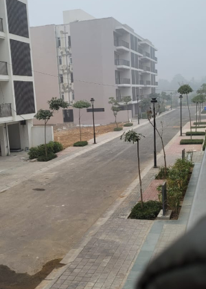 DLF Gardencity Floor