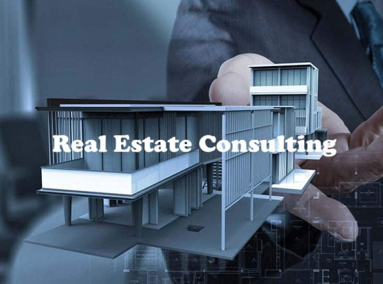 Real Estate Consulting